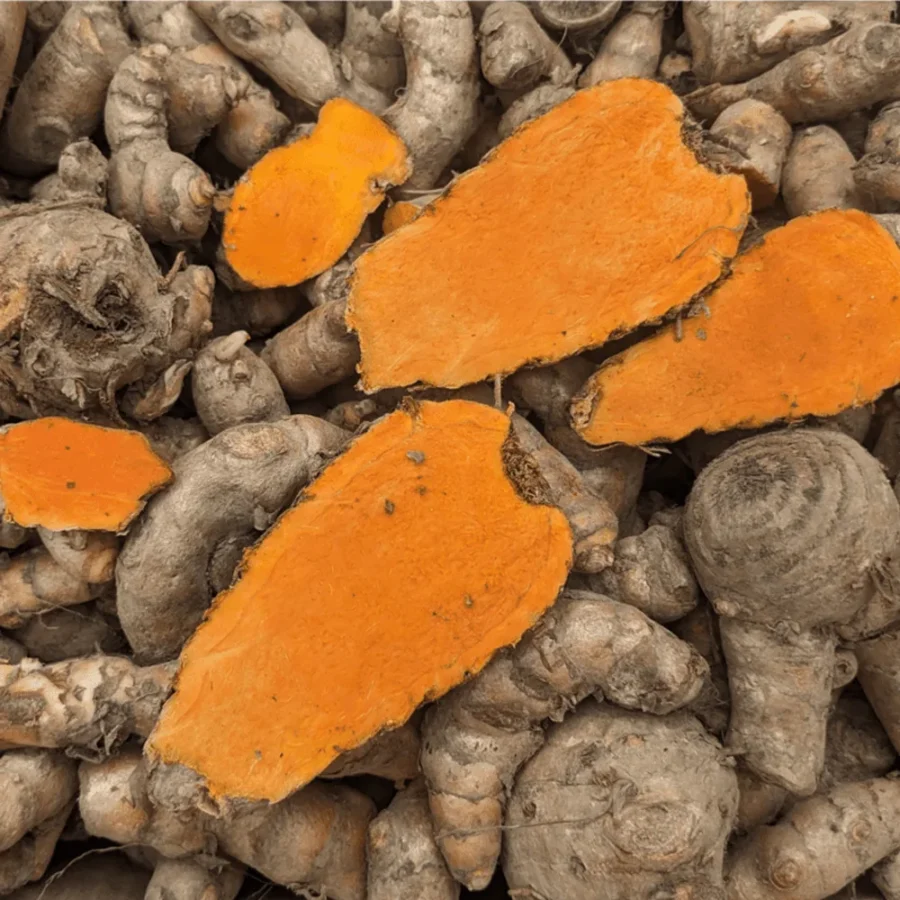 Lakadong Turmeric – High Curcumin Golden Spice - Image 4