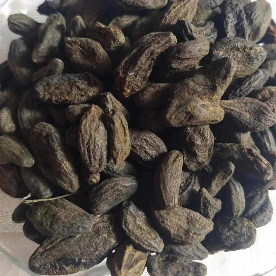 Harad – Ayurvedic Herb for Digestion & Detox - Image 2