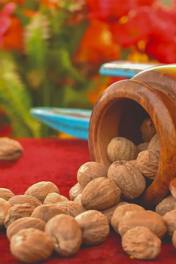 Jaiphal – Pure & Aromatic Nutmeg