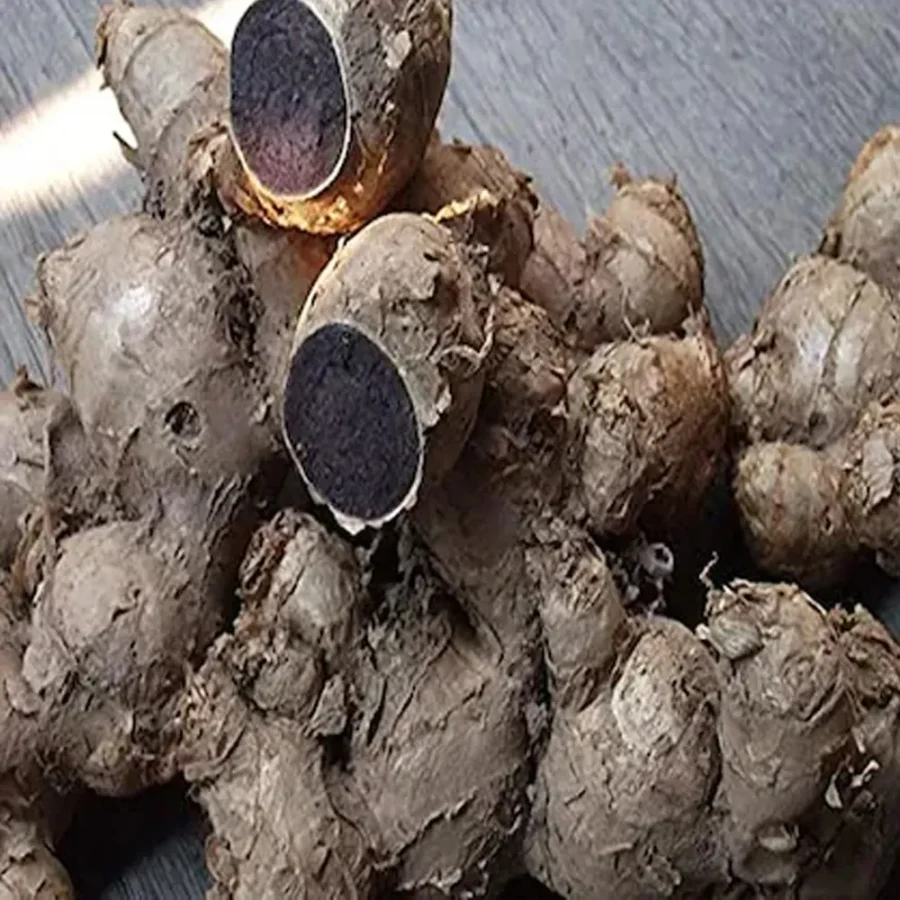 Kali Haldi – Rare Black Turmeric for Health & Ritual Use - Image 2