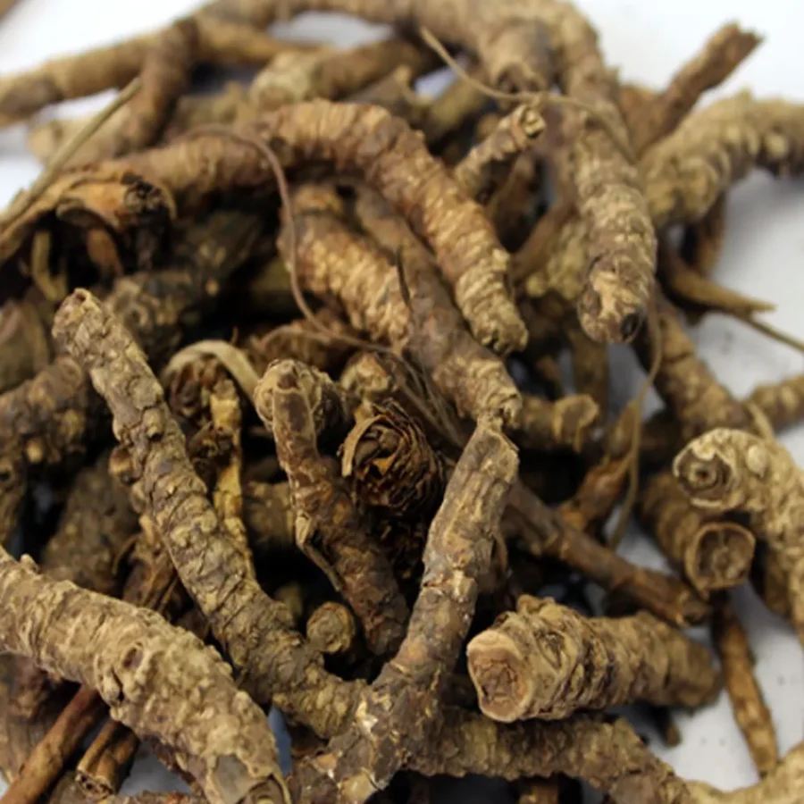 Kutki – Ayurvedic Herb for Liver & Digestive Health - Image 2