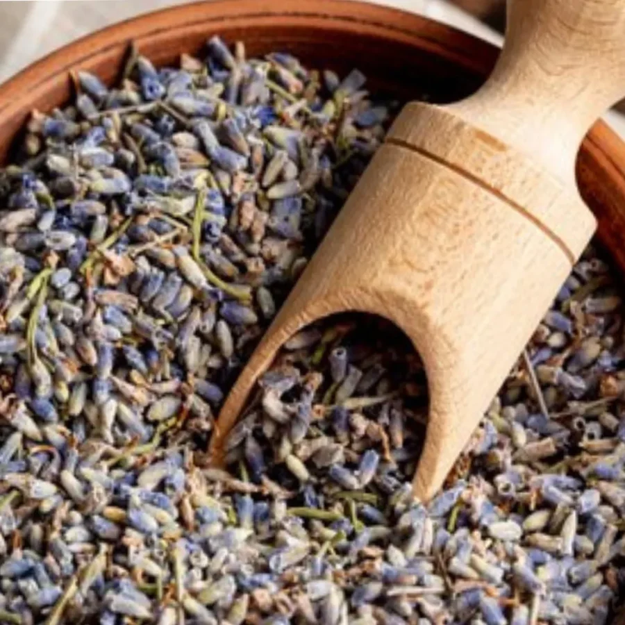 Konch Seed – Natural Vitality & Wellness Herb
